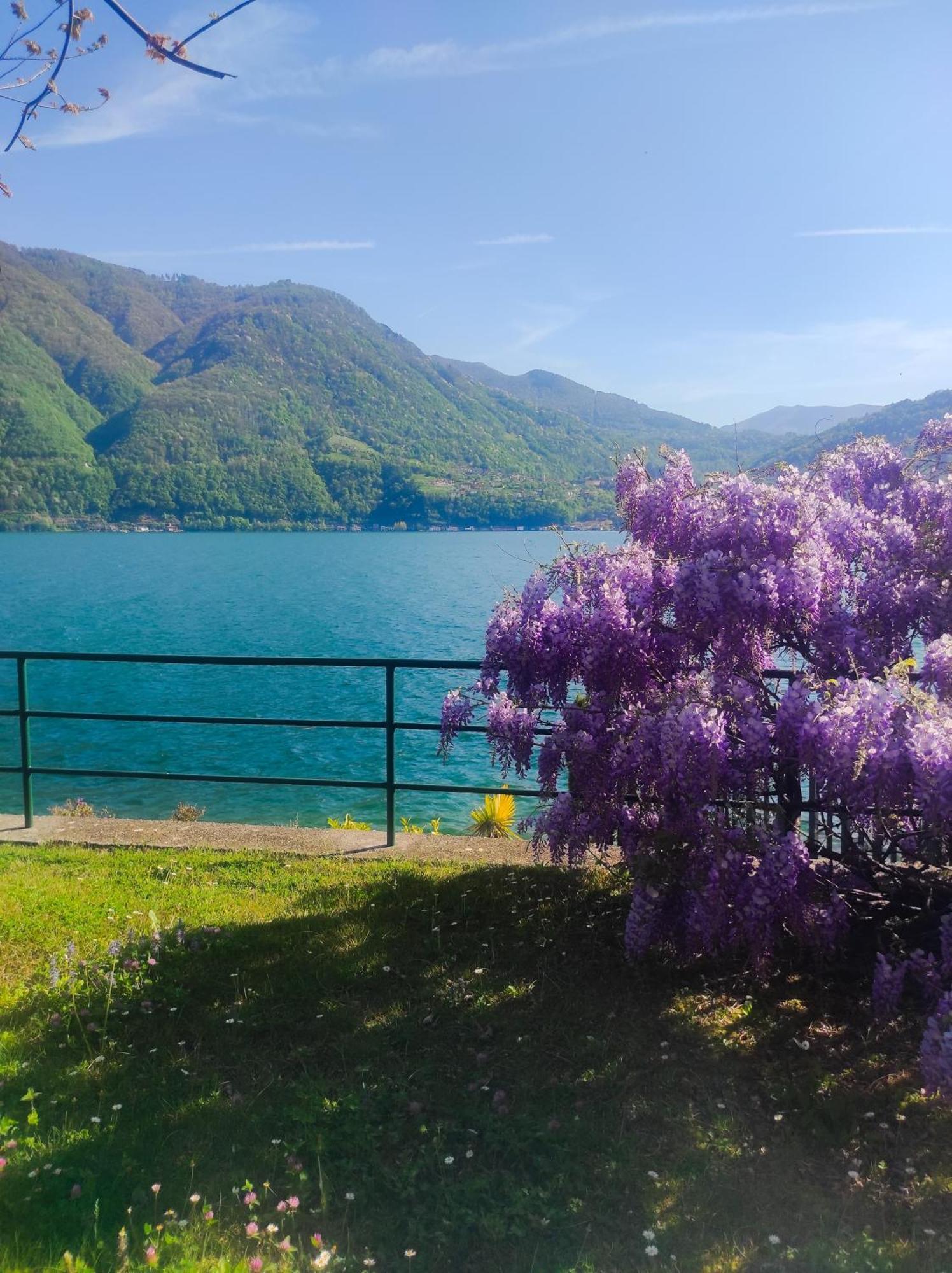 Lfsuite Luganolake Terrazza Spiaggia Privata Parking Wi-Fi Netflix Porlezza Exterior foto